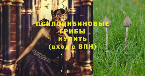 ГАЛЛЮЦИНОГЕННЫЕ ГРИБЫ Алзамай