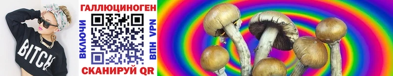 купить   Пенза  гидра   Галлюциногенные грибы Psilocybine cubensis 